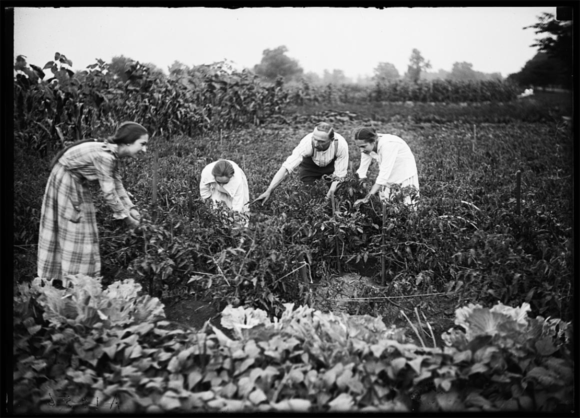 dr-scott-jones-physical-therapy-colorado-springs-blog-victorian-farming